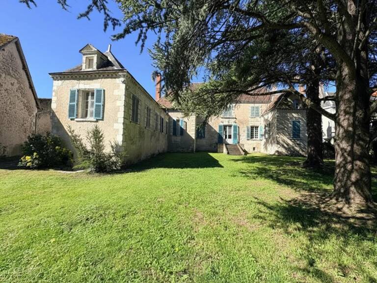 Majestueux Hôtel Particulier à Châtillon-sur-Indre — photo 1