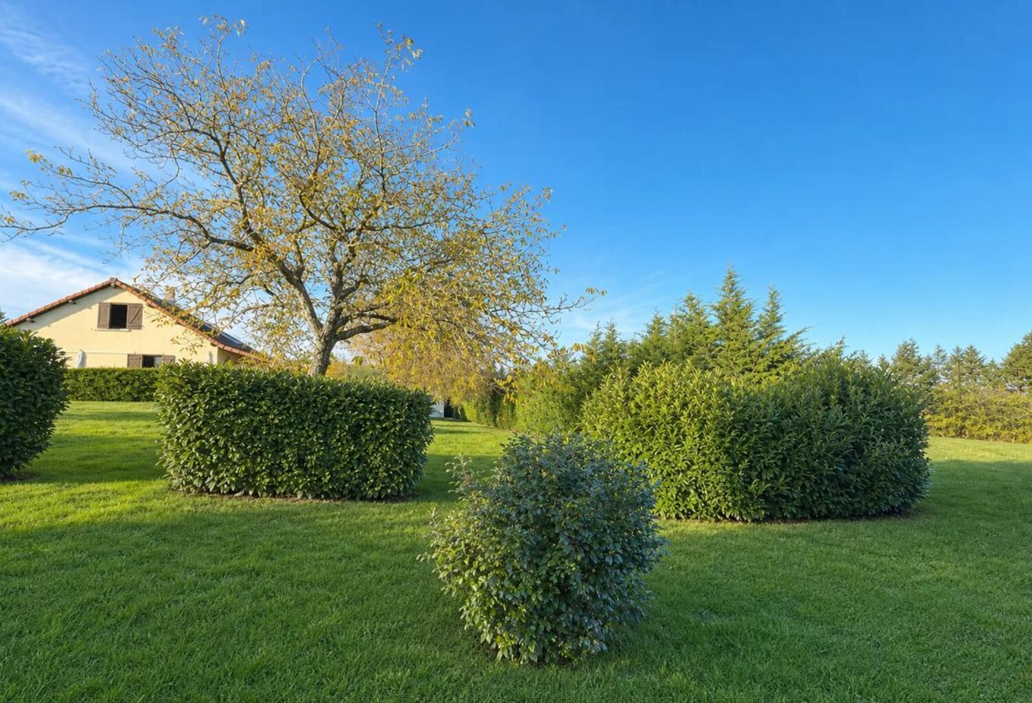Maison rénovée avec terrain de 4000 m², Saint-Gal-sur-Sioule — photo 1