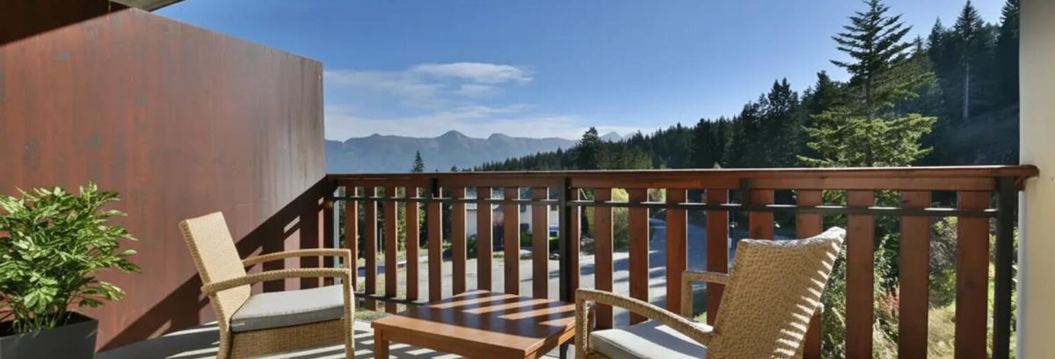 Appartement 1 Pièce 23 m² à vendre à Selonnet (04140)