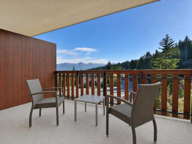 Studio de 24 m2 en vente à Selonnet au cœur de la Vallée de la Blanche — photo du bien