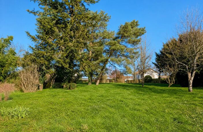 BELLE MAISON 270M2 - DEPENDANCES 400M2 - 8000M2 TERRAIN — photo 5
