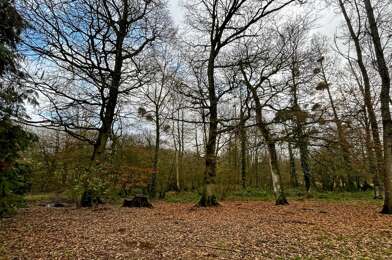 Maison 10 pièces 180000 €