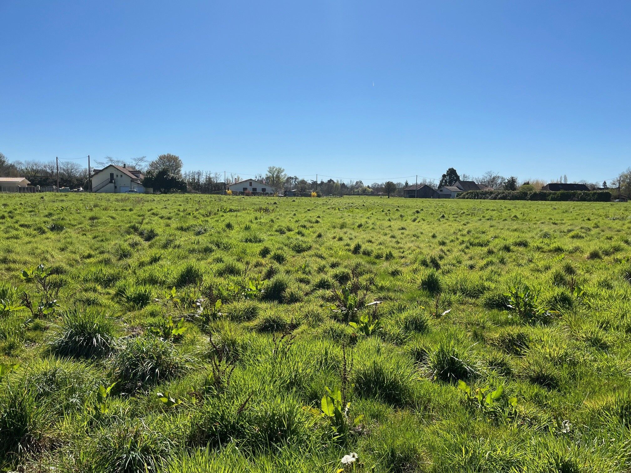 Agence immobilière de Les maisons Aura de Bergerac
