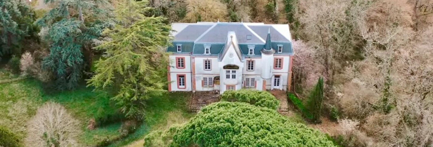 Maison 10 Pièces 500 m² à vendre à Léguevin (31490)