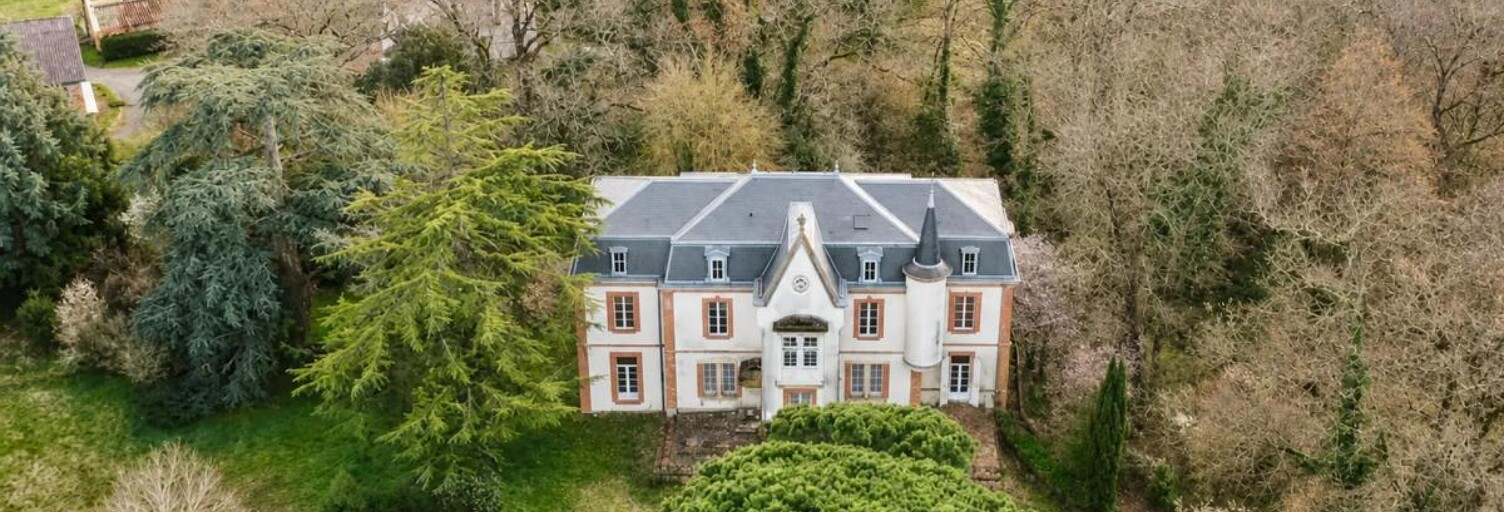 Maison 10 Pièces 500 m² à vendre à Léguevin (31490)