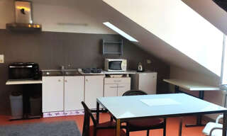 Appartement 1 Pièce 20 m² à louer à Saint-Laurent-Nouan (41220)