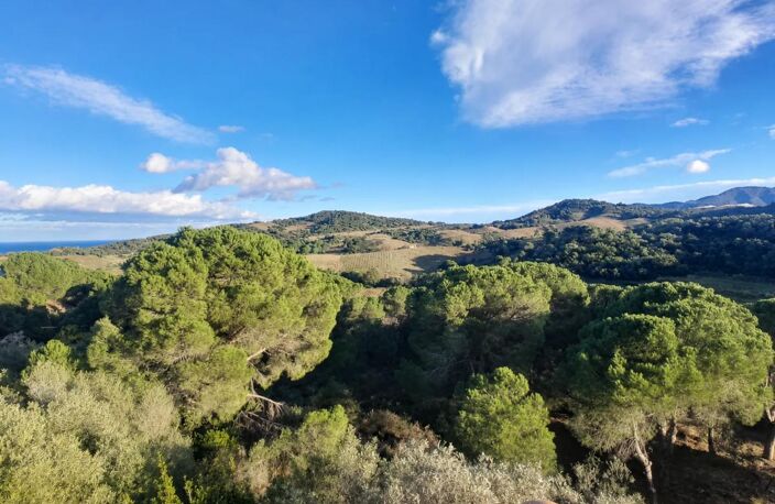 Propriété arborée avec vu panoramique sur la mer et la nature : — photo 2