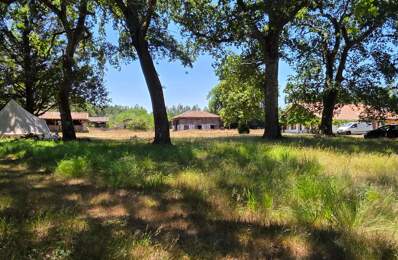 Magnifique et authentique Airial des Landes — photo du bien