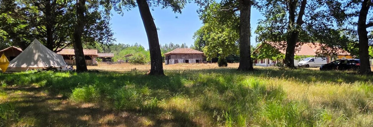 Maison 5 Pièces 90 m² à vendre à Sabres (40630)