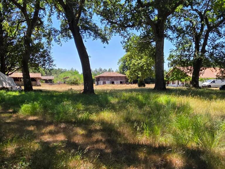 Magnifique et authentique Airial des Landes — photo 1