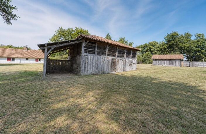 Magnifique et authentique Airial des Landes — photo 3