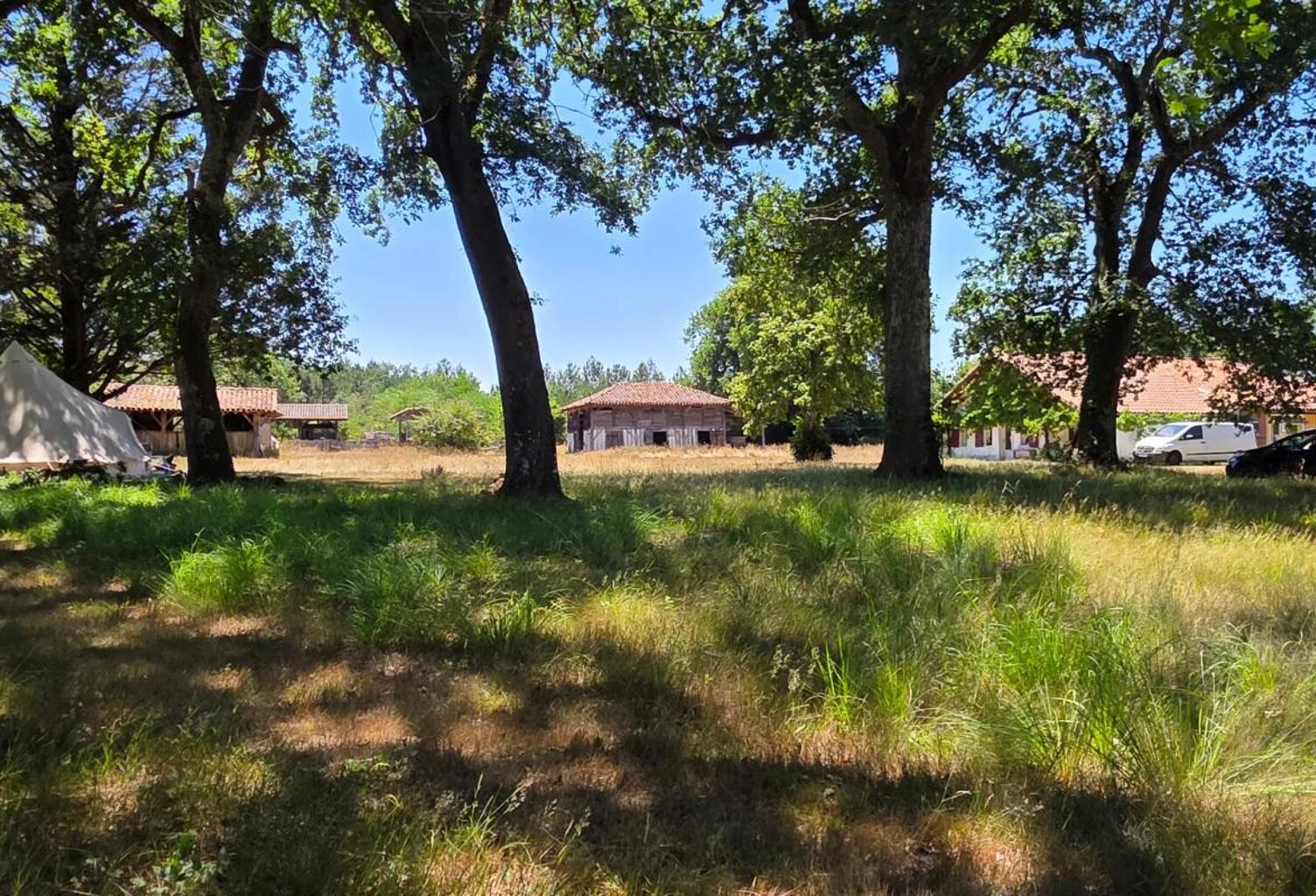 Magnifique et authentique Airial des Landes — photo 1
