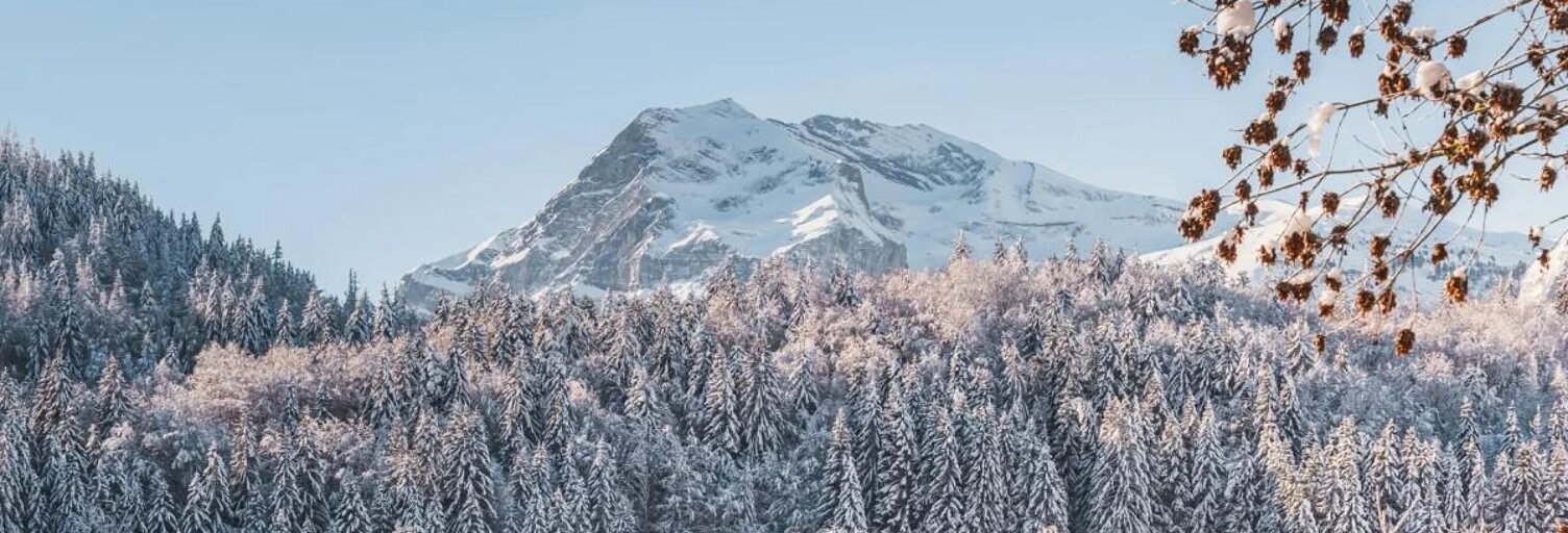 Appartement 5 Pièces 70 m² à vendre à Arâches-la-Frasse (74300)