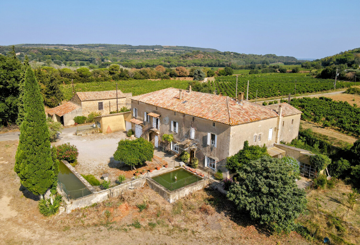 Ensemble immobilier au milieu des vignes ... — photo 1