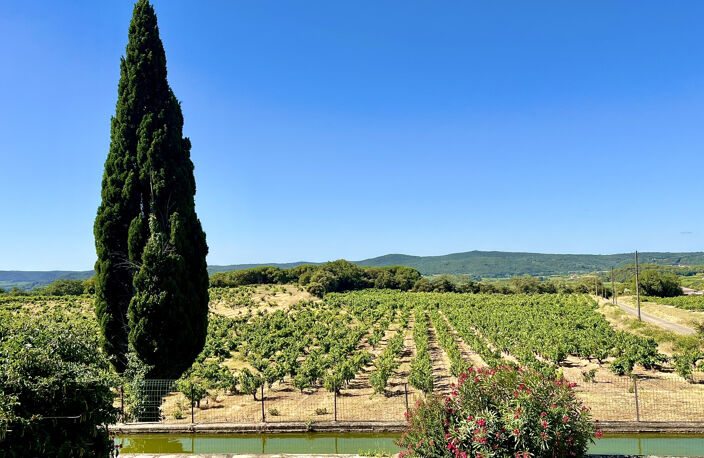 Ensemble immobilier au milieu des vignes ... — photo 3