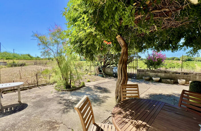 Ensemble immobilier au milieu des vignes ... — photo 4