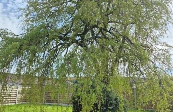 Belle maison en campagne — photo 2