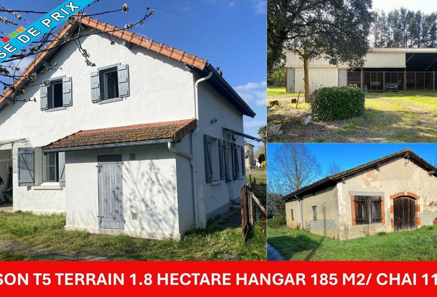 Maison de 101 m²  4 chambres, hangar 185 m², chai en pierres — photo 1