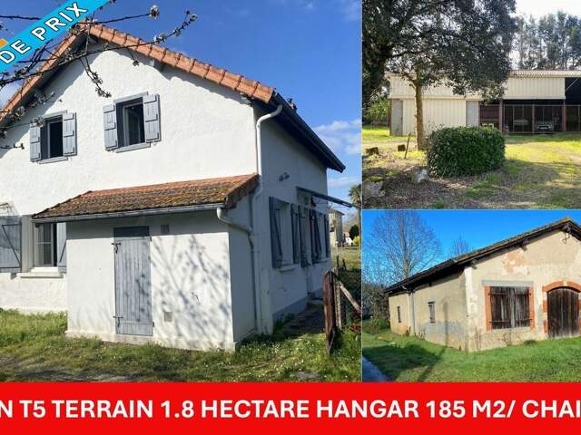 Maison de 101 m²  4 chambres, hangar 185 m², chai en pierres — photo du bien