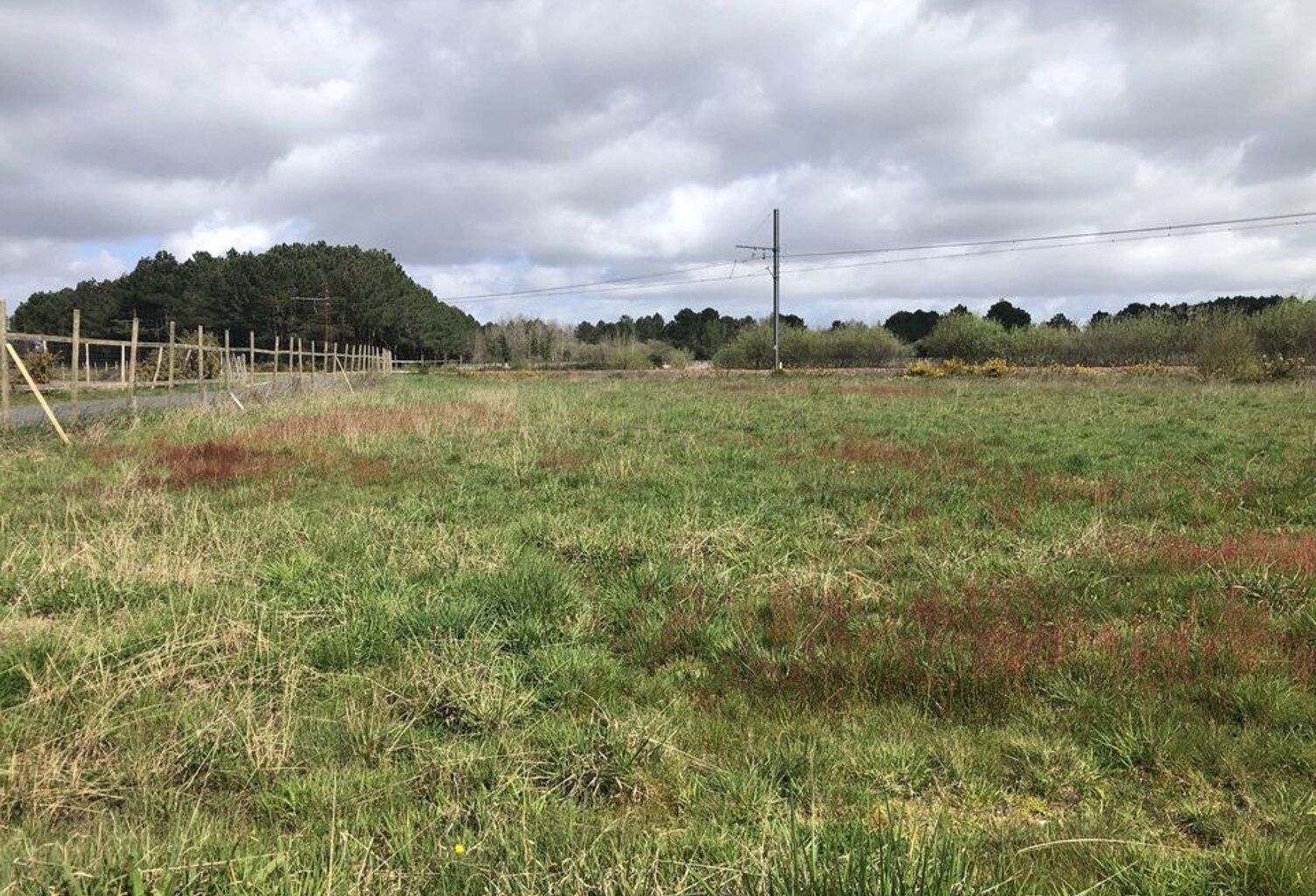 TERRAIN AGRICOLE 1,1 HECTARE AVEC BATIMENT /commune de Queyrac — photo 1