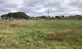 Terrain   m² à vendre à Queyrac (33340)