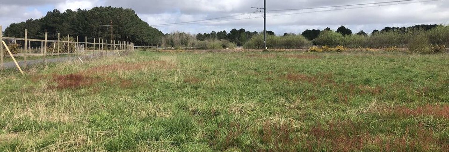 Terrain   m² à vendre à Queyrac (33340)