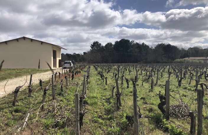TERRAIN AGRICOLE 1,1 HECTARE AVEC BATIMENT /commune de Queyrac — photo 2