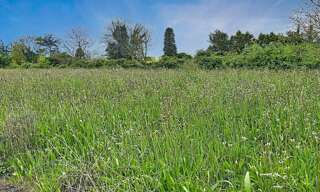 Terrain  554 m² à vendre à La Jonchère (85540)