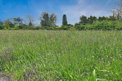 Terrain  49000 €