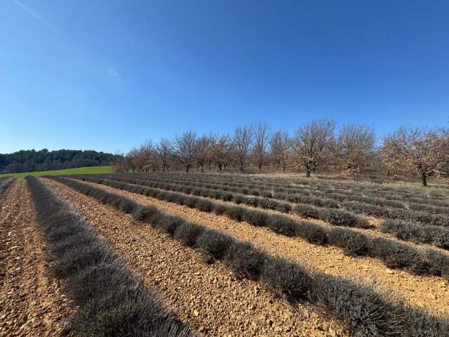 Terrain constructible de 750 m² - Roumoules — photo du bien