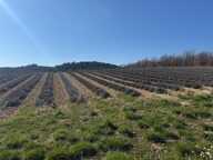 Terrain constructible de 750 m² - Roumoules — photo 4