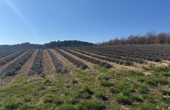 Terrain constructible de 750 m² - Roumoules — photo 4