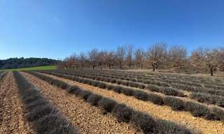 Terrain  640 m² à vendre à Roumoules (04500)