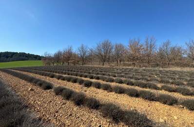 Terrain constructible de 623 m² - Roumoules — photo du bien