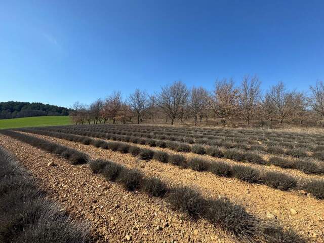 Terrain constructible de 612 m² - Roumoules — photo du bien