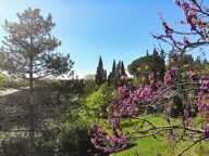 Maison familiale au cœur de la nature, potentiel unique à exploiter à 30 Min de Montpellier et Béziers — photo 3