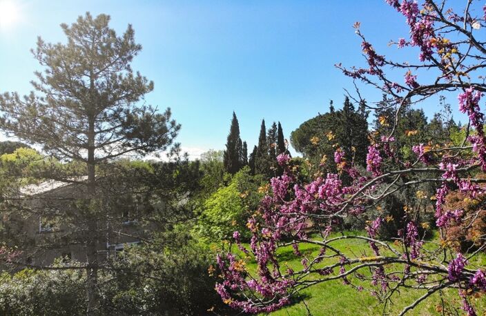 Maison familiale au cœur de la nature, potentiel unique à exploiter à 30 Min de Montpellier et Béziers — photo 3