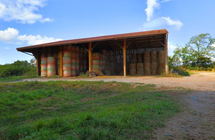 EXCLUSIF Propriete agricole avec 7 hectares possible 70 hectares en location — photo 3
