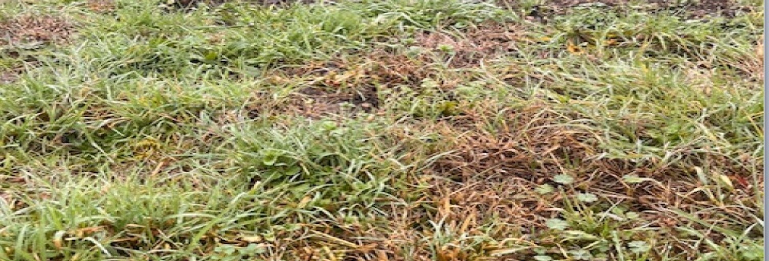 Terrain  700 m² à vendre à Cardan (33410)