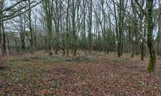 Terrain  2000 m² à vendre à Saint-Médard-de-Mussidan (24400)