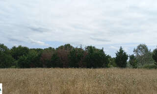 Terrain  2210 m² à vendre à Eygurande-et-Gardedeuil (24700)