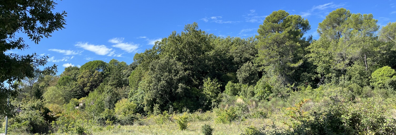 Terrain 1000 m² à construire La Roquebrussanne (83136)