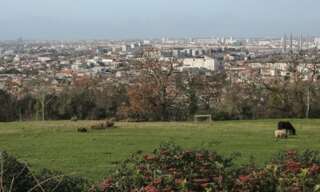 Appartement 2 Pièces 40 m² à louer à Cenon (33150)