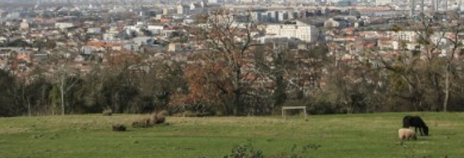 Appartement 2 Pièces 40 m² à louer à Cenon (33150)