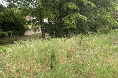 Maison  485001 €