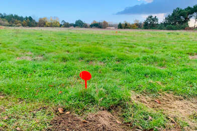 Terrain  234000 €