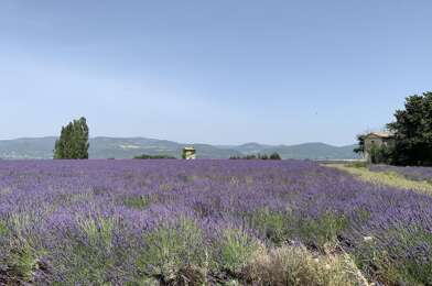 Terrain  72000 €