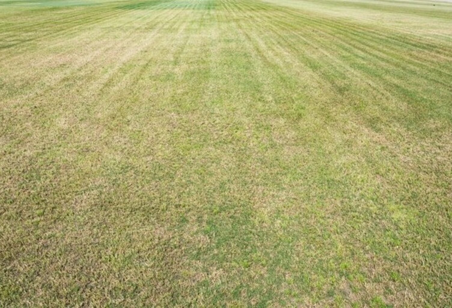 Terrain à vendre  proche de LE MAS RILLIER (01) — photo 1