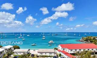 Appartement 4 Pièces 134 m² à vendre à Saint-Martin (65360)