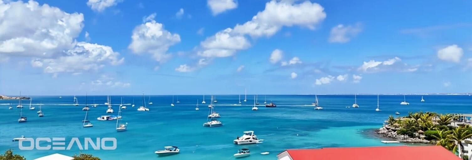 Appartement 4 Pièces 134 m² à vendre à Saint-Martin (65360)